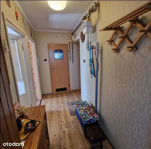 Mieszkanie, Katowice - Widok 5