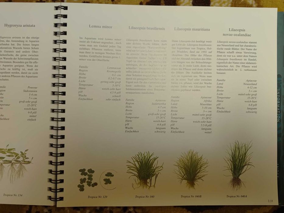 tropica aquarium plants