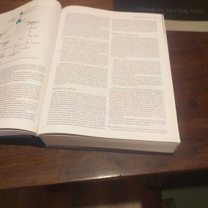 Livro de Patologia - 6a edição