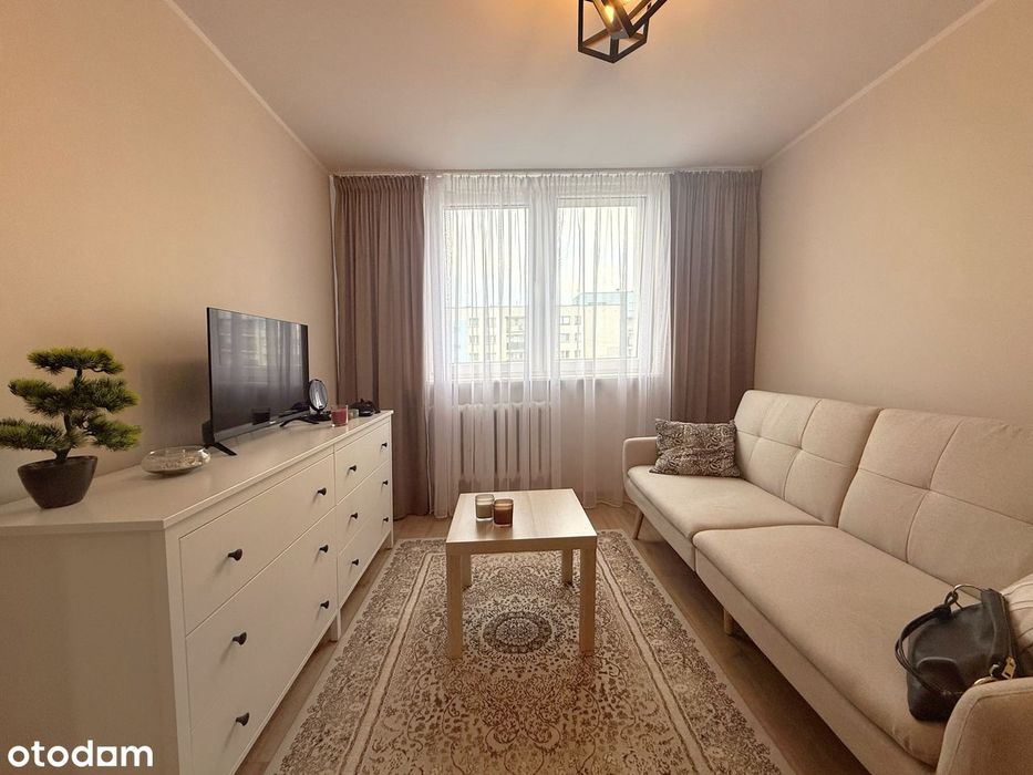 2 pokoje Stawiki, Sosnowiec wake zone centrum