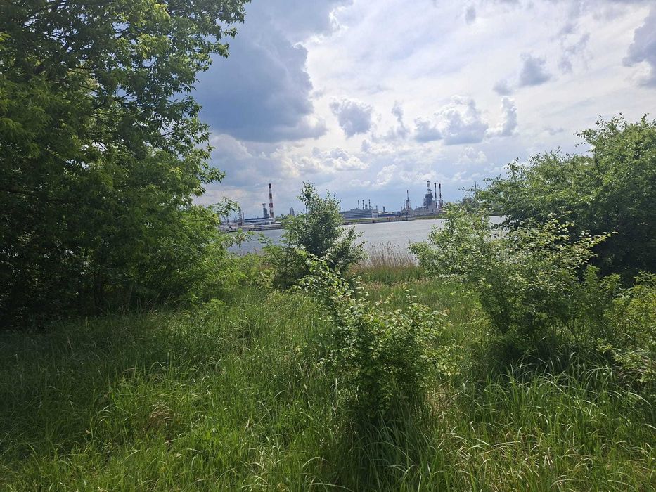 Dwie graniczące ze sobą działki ROD Narwik Gdańsk
