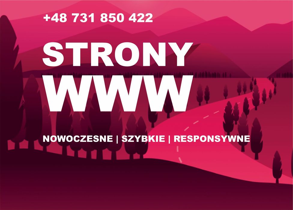 Projektowanie stron internetowych | Sklepy WWW | Tworzenie stron WWW