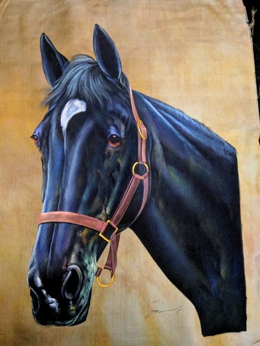 Pintura Cavalo Seda 3