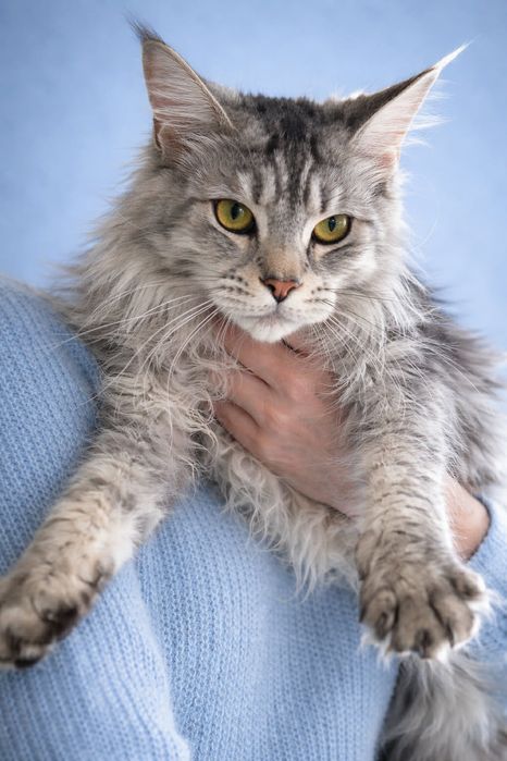 Эффектная красотка