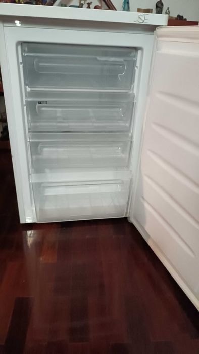 Arca Congeladora e Frigorifico