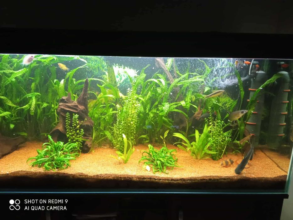 Akwarium 450l+osprzęt