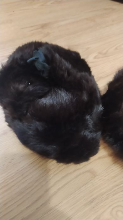 Шапка ушанка, новая