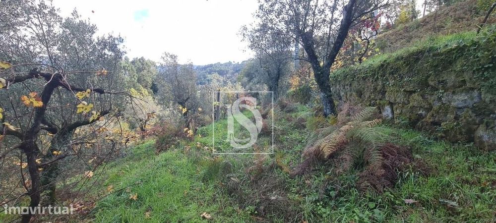 Terreno  Venda em Candemil,Amarante
