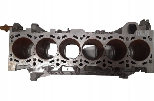BLOK SILNIKA BMW E85 M54 E39 E46 2.0i 2.2i BT51