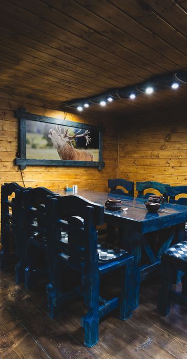 Будинок з чаном Синевир | Spadok Forest Villas