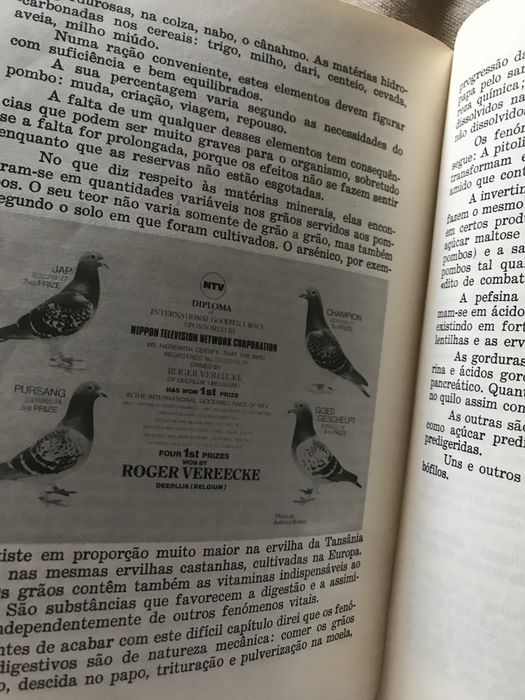 Curso de Columbofilia edição de mundo columbófilo