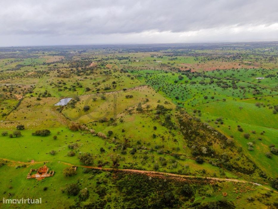 Herdade em Vila Nova de São Bento | 172 hectares