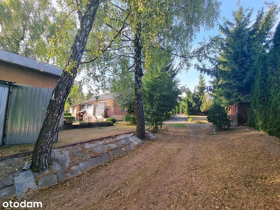 Dom 87 m2 | dz. 24 ar | z budynkiem 90m2  Rejowiec