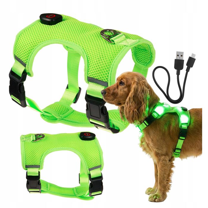 LED Szelki dla Psa Guard S - Bezuciskowe, Odblaskowe, USB, Zielone