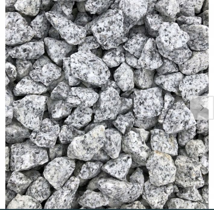 Grys Dalmatyńczyk,granitowy,janowicki,biała marianna,kora kamienna