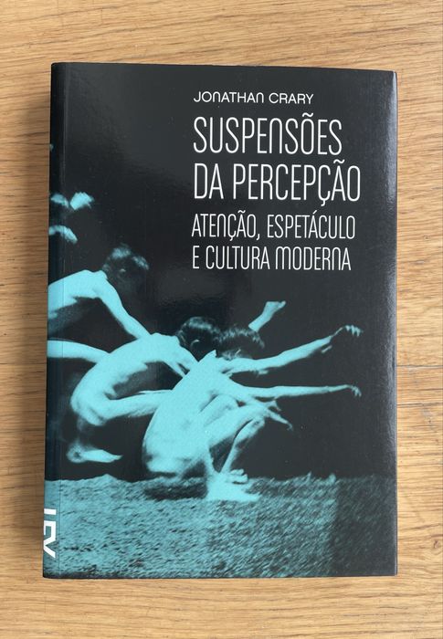 SUSPENSÕES DA PERCEPÇÃO: ATENÇÃO, ESPETÁCULO E CULTURA MODERNA