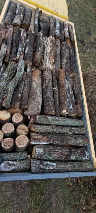 Продам дрова різних порід