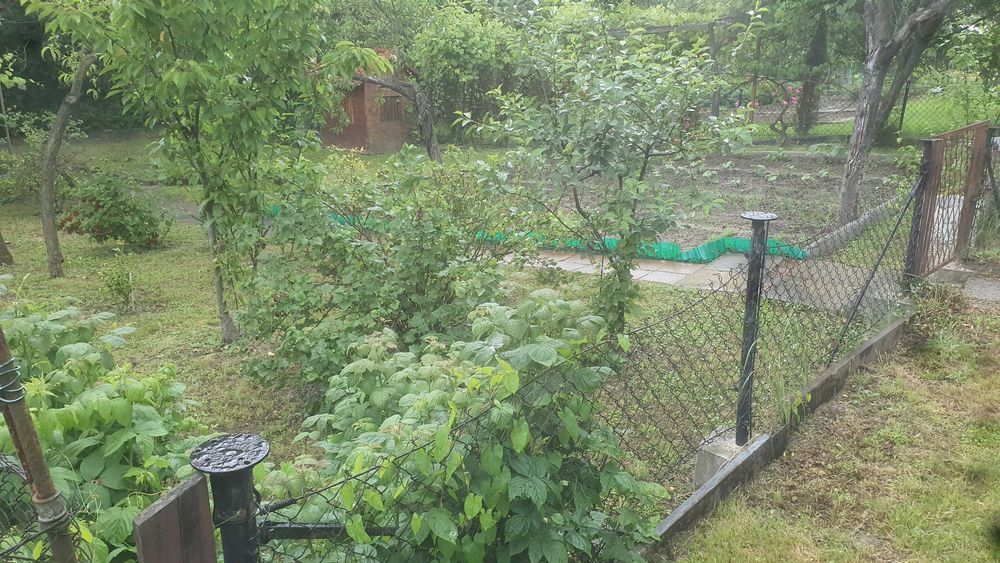 Zadbana działka rekreacyjna - ogródek działkowy - ul. 26 Marca 51 - za szpitalem - Widok 3
