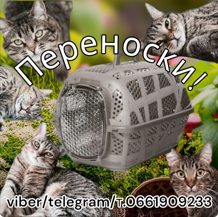 Аренда переноски до 10 кг