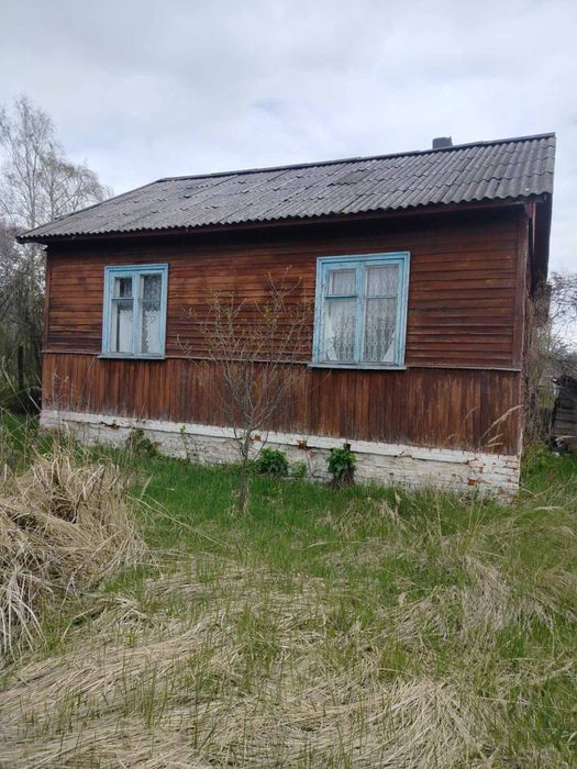 Будинок в селі Реутенці, біля міста Кролевець, Сумської області