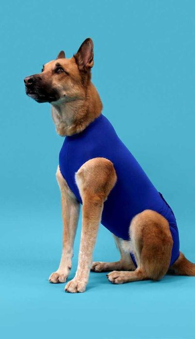 NOVO - KVP Recova Shirt Camisola de Recuperação cão/gato 8 tamanhos