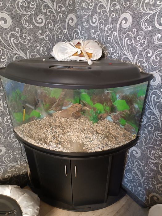 Аквариум с тумбой , крышкой  180 л.