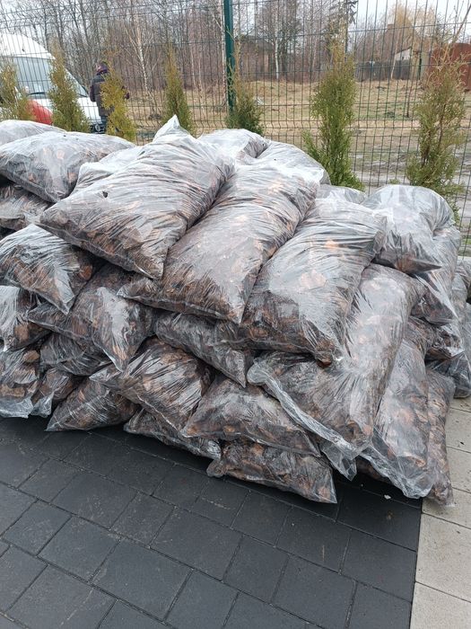 Субстрат для розсади