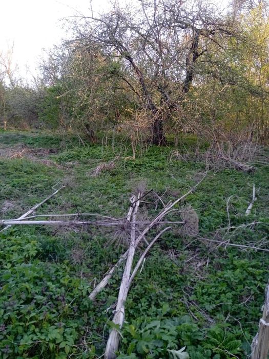 Продам земельну ділянку с. Олешин