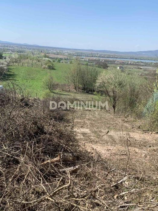 Продаж земельної ділянки на Чорній Горі, м. Виноградів (СТ "Полкова")