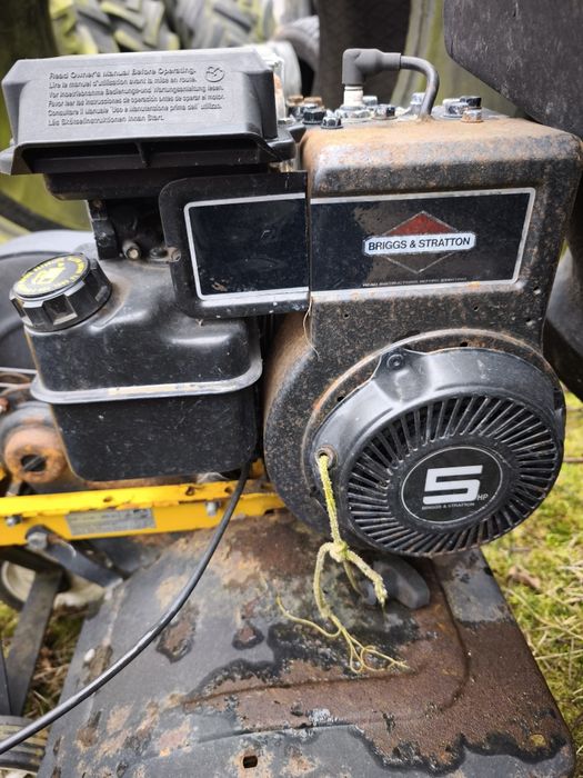Glebogryzarka BRIGGS & STRATTON Grebogryzarka zachodnia