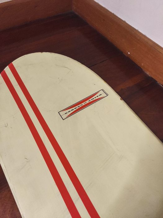 Prancha snowboard + fixações