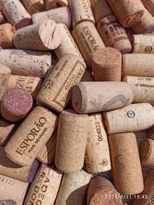 600 rolhas de vinho usadas em bom estado.