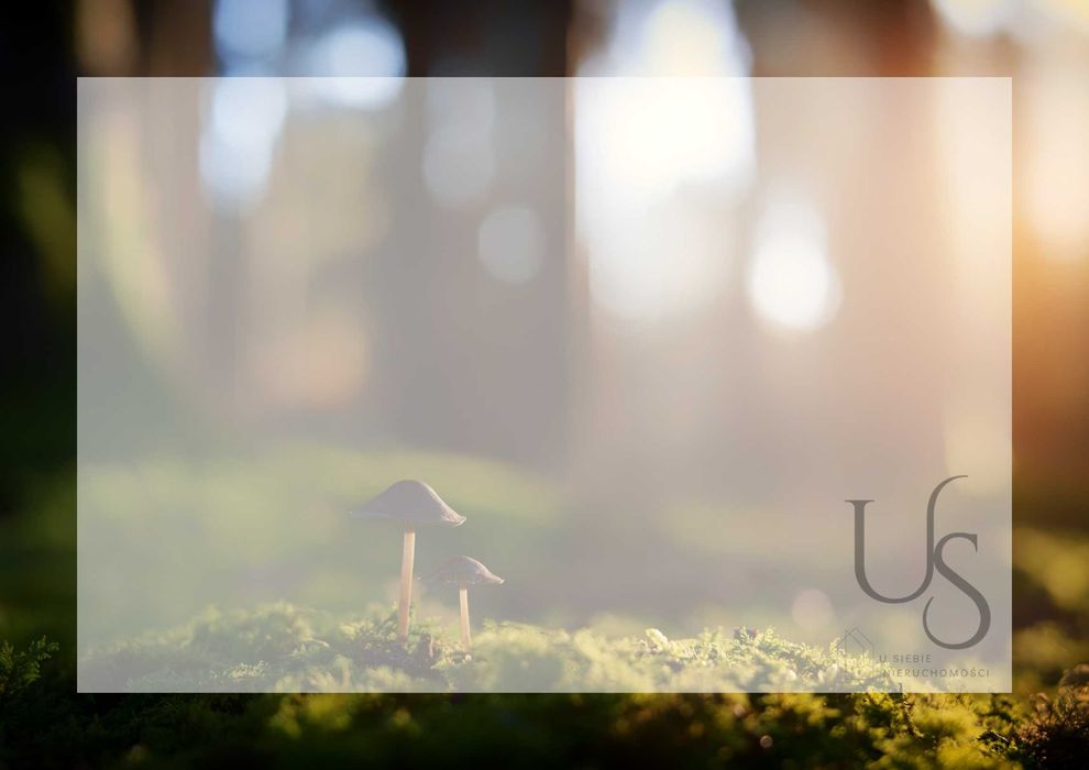 Na sprzedaż LAS - prawie 8 Ha