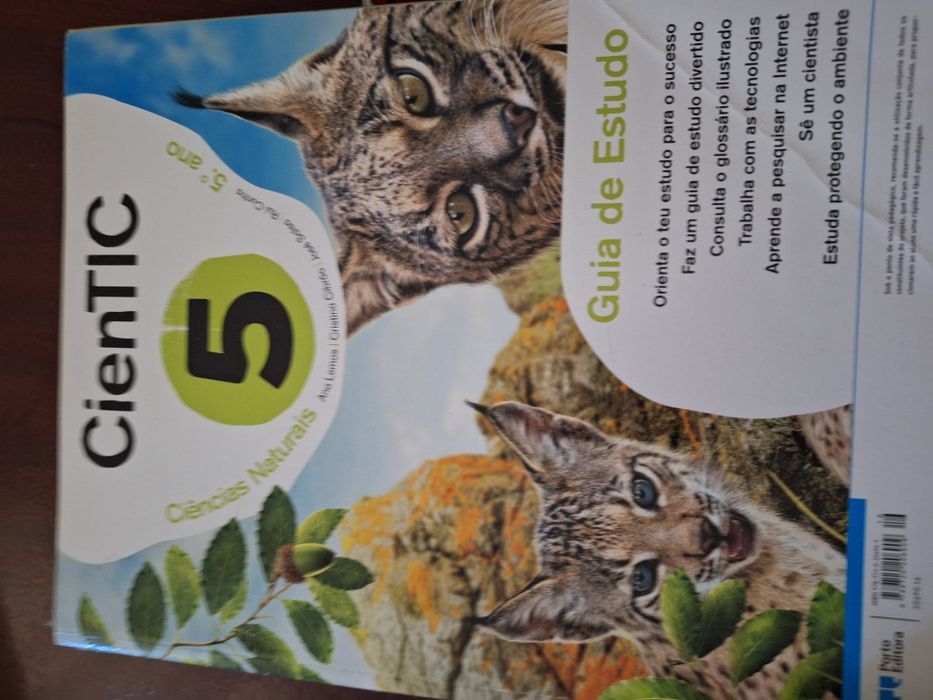 Livro de fichas 5ano