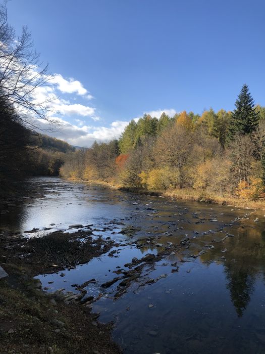 Siedlisko dom w Terce bieszczady