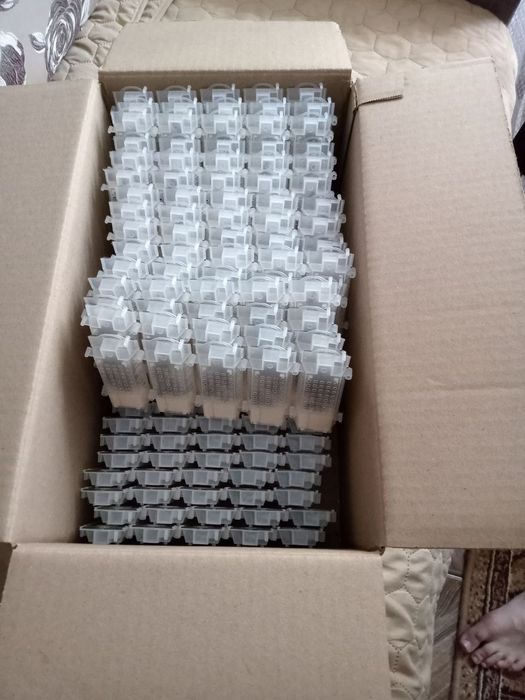 Карніка лінії Скленар 2026р.Бджоломатки.Матки Карніка. Матка