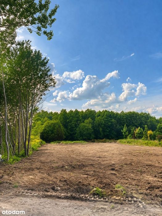 3 Działki budowlane z pozwoleniem na budowę Nowe Bielice 9ar. Łąka las - Widok 3