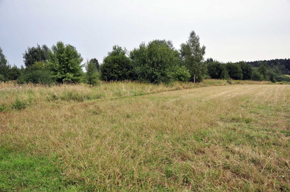 Działka budowlana na sprzedaż - Widok 2