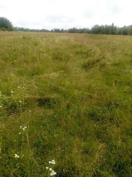 Продам земельну ділянку