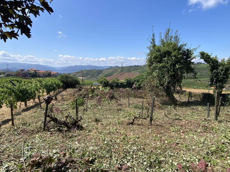 Moradia unifamiliar - Guiães