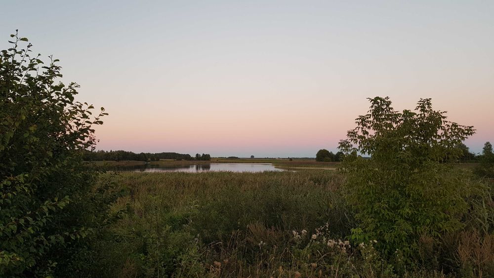 Działka 5500 m² z linią brzegową, prąd i woda. Możliwość zabudowy. Okazja! - Więcej