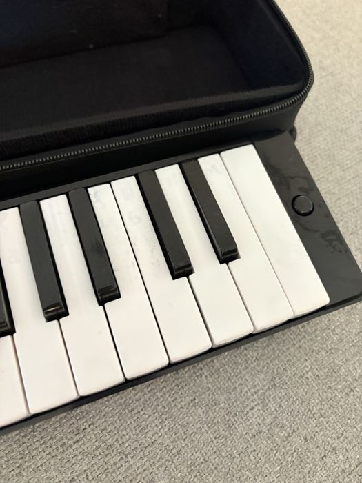 Melodica marca walther con estojo