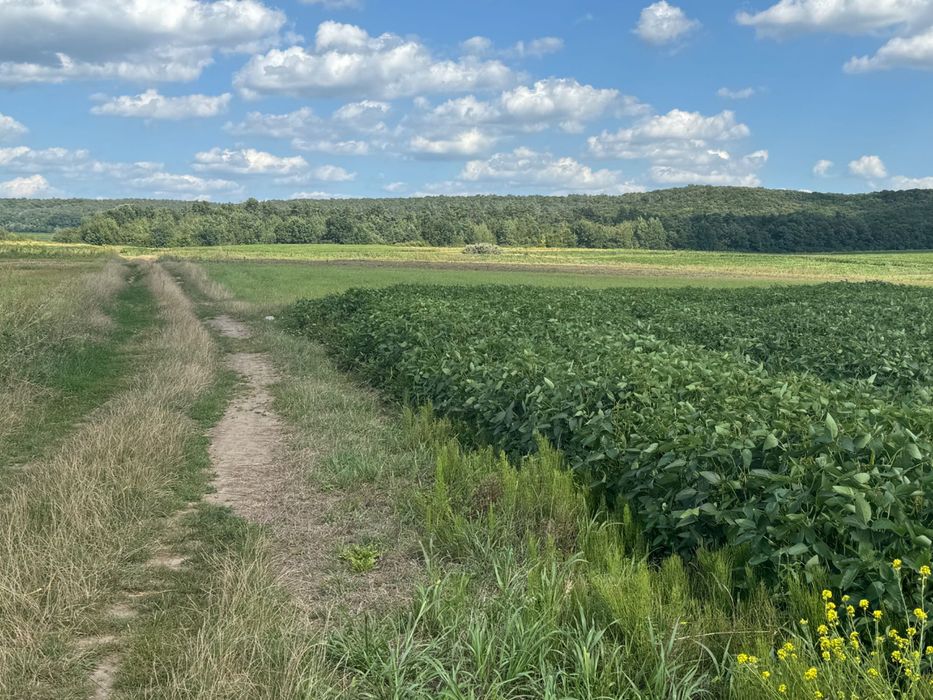 Продам ділянку за вигідною ціною