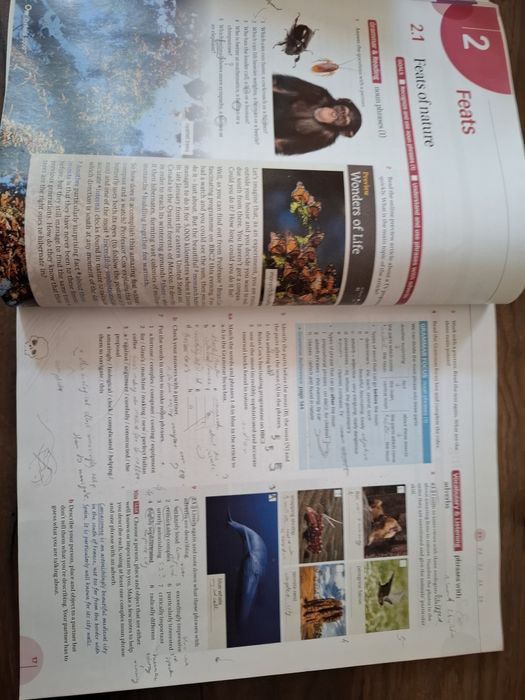 Podręcznik do nauki języka angielskiego Navigate Advanced C1 Oxford