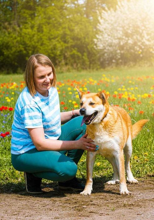 ARAN - piękny, energiczny pies prosi o dom