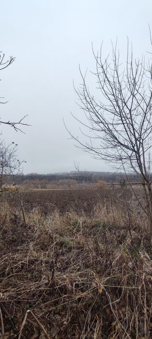 Земельна ділянка 50 соток