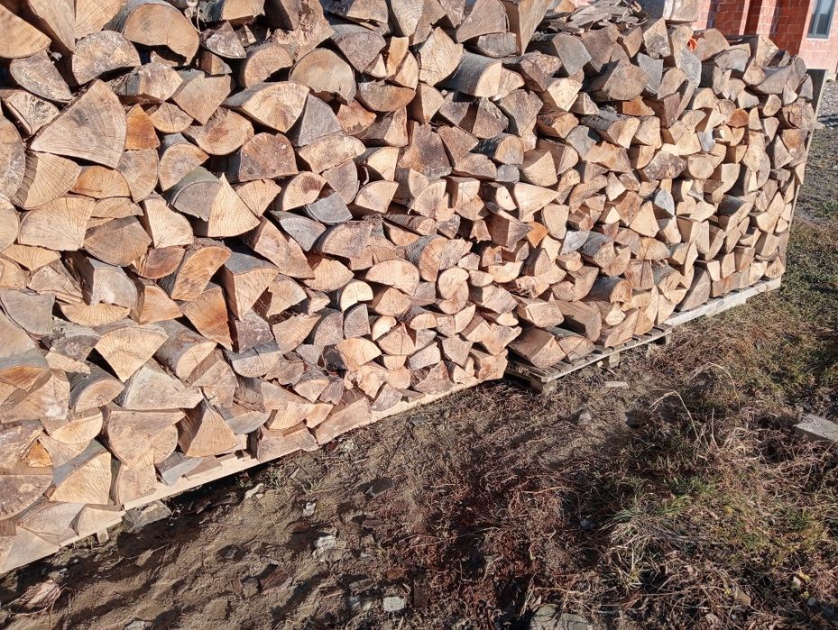 Drzewo opałowe buk jasion