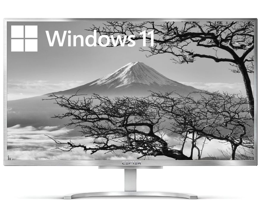 Komputer All In One Cepter A420-02 8Gb/128Gb/1Tb Windows 11 (W)