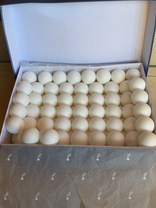 153 bolas (tamanho aprox. ping-pong / ténis de mesa - 3,5cm)