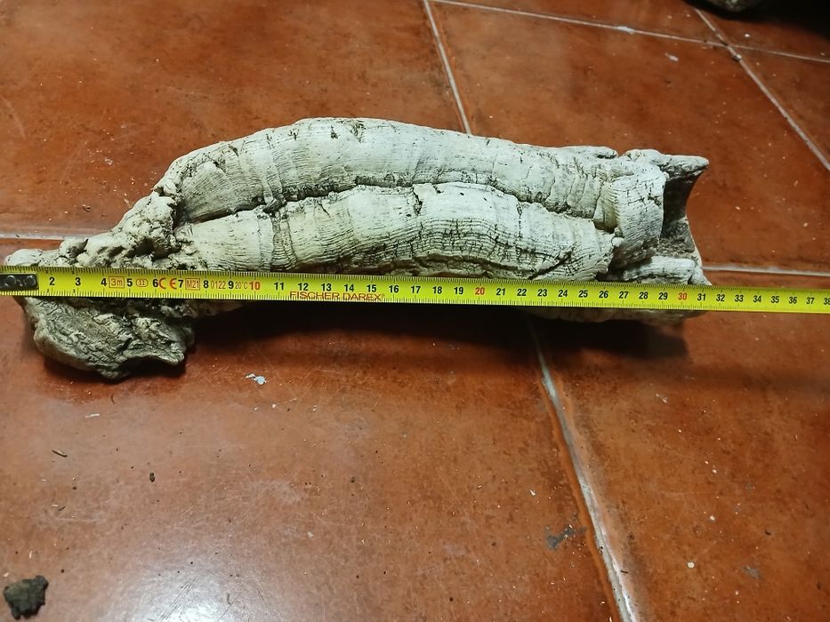 Cortiça para terrario ou decoração